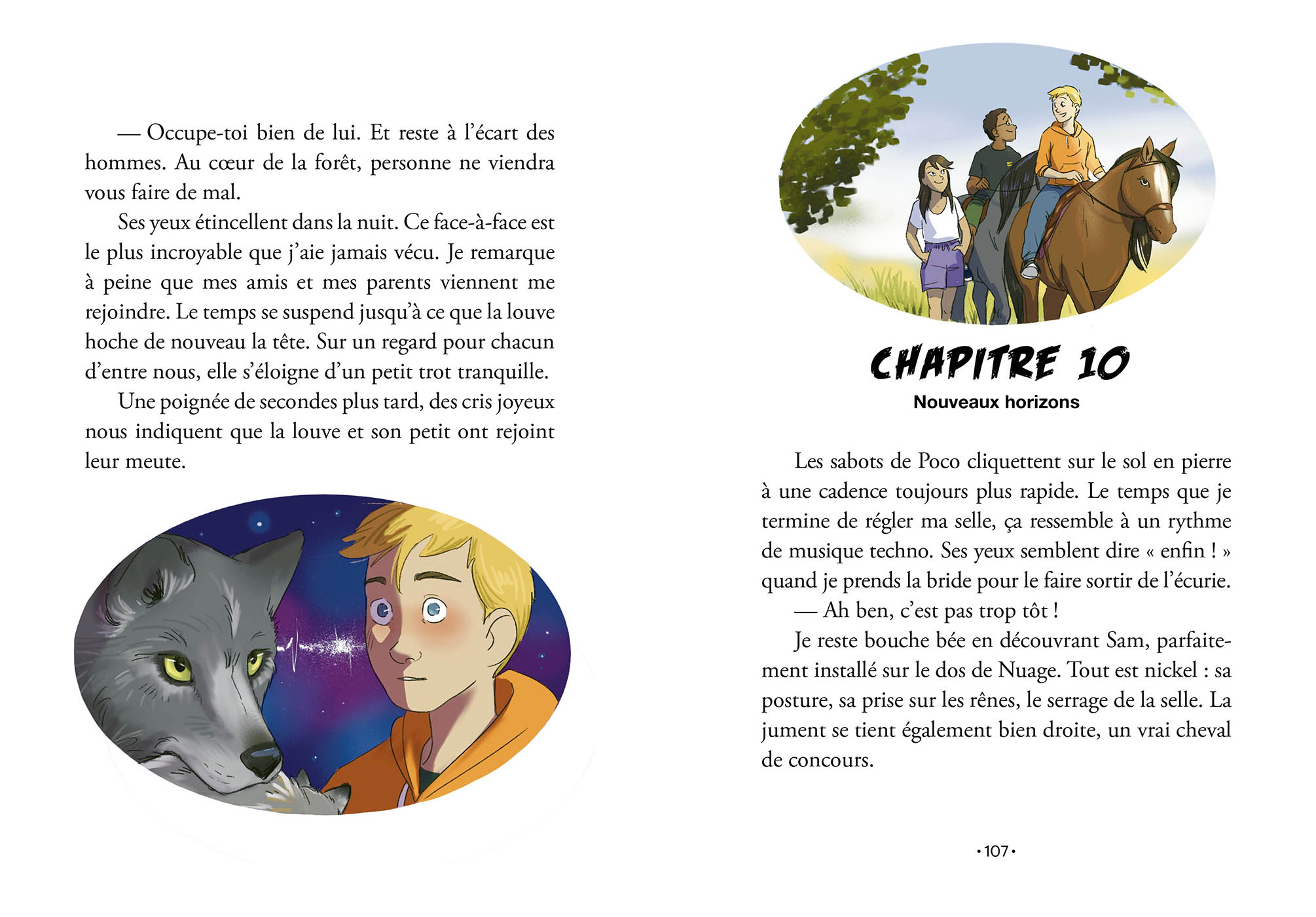 La Dépouille Glaciaire