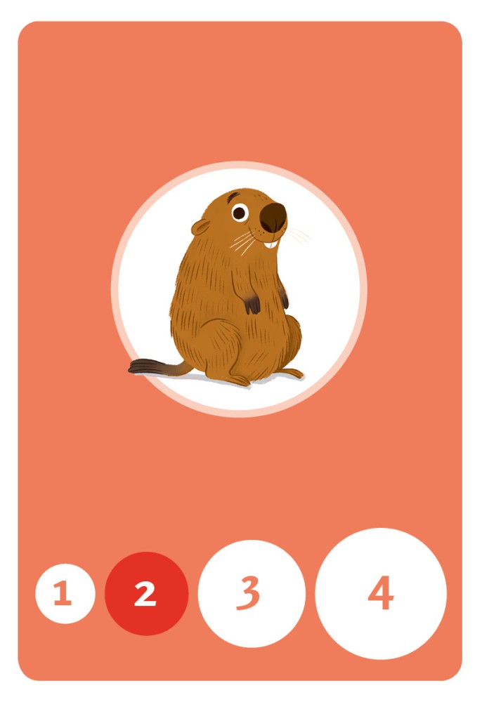 Jeu De Cartes - Jeu De Cartes : Les Animaux De Suisse Bataille