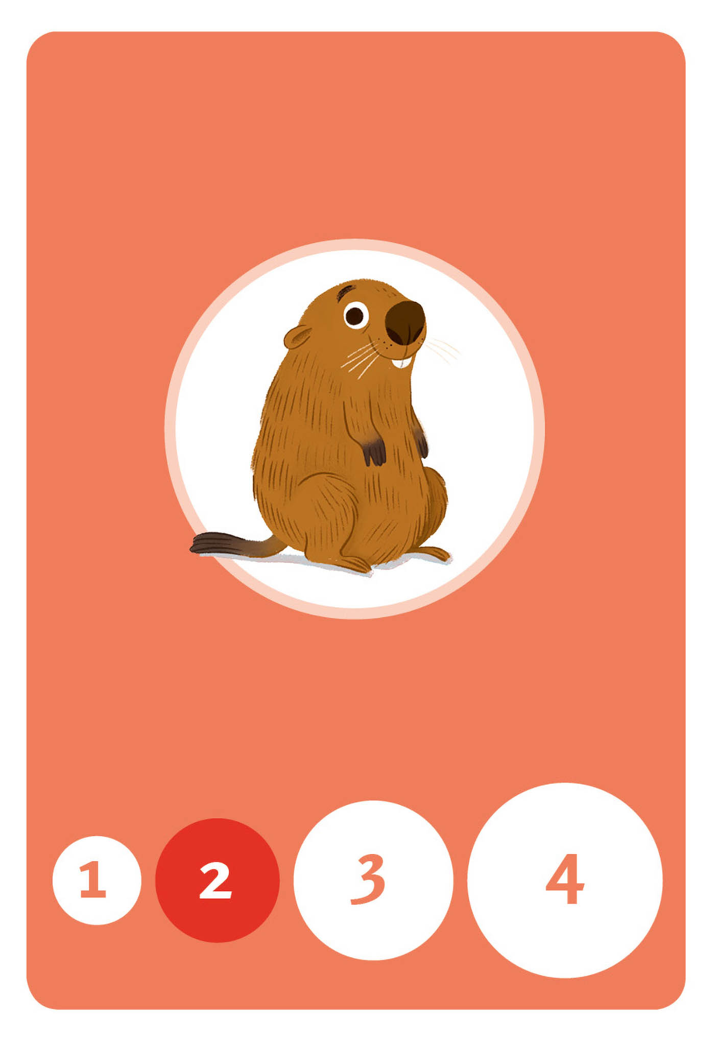 Jeu De Cartes - Jeu De Cartes : Les Animaux De Suisse Bataille