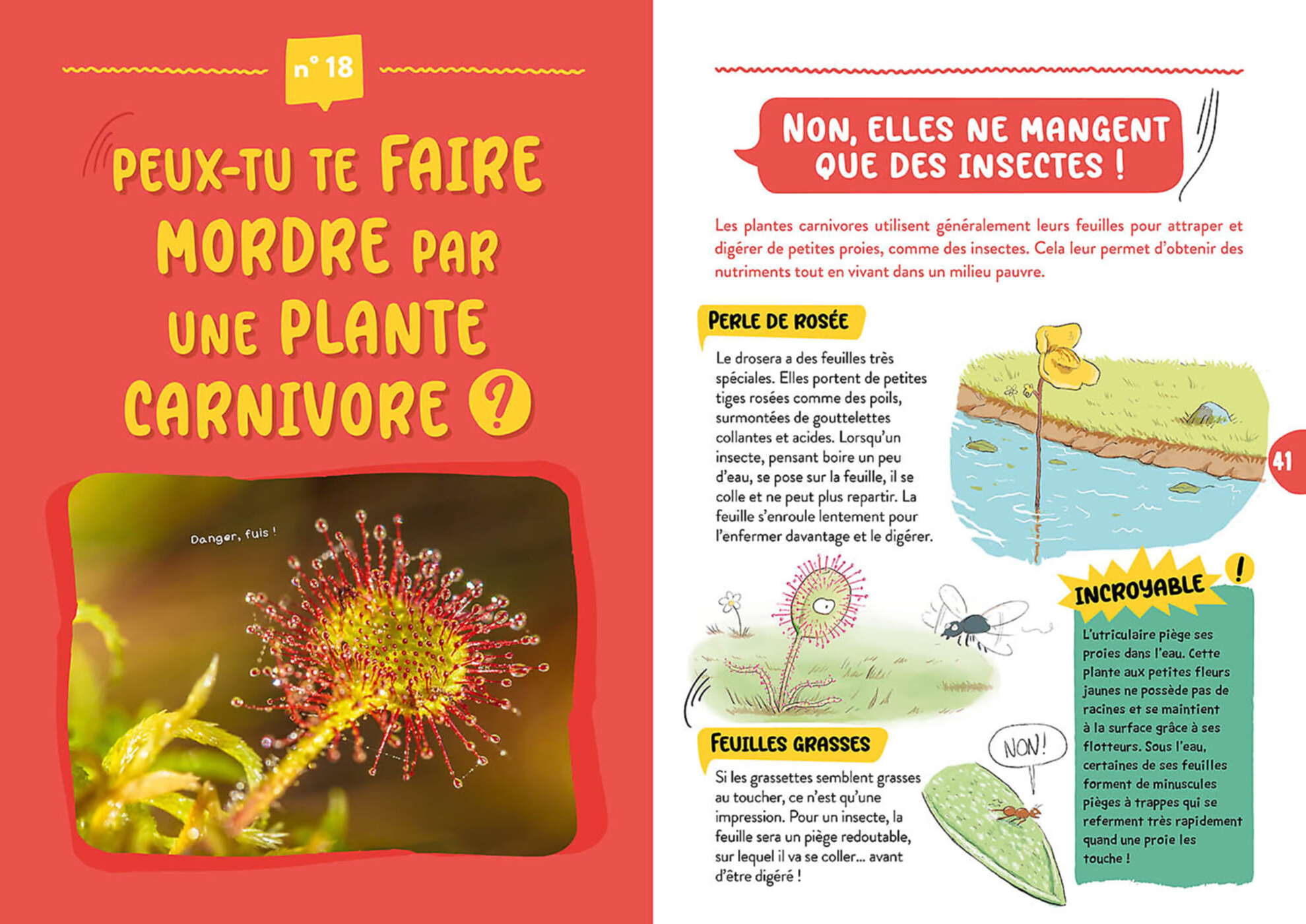 L'edelweiss Existe-T-Il Vraiment ?