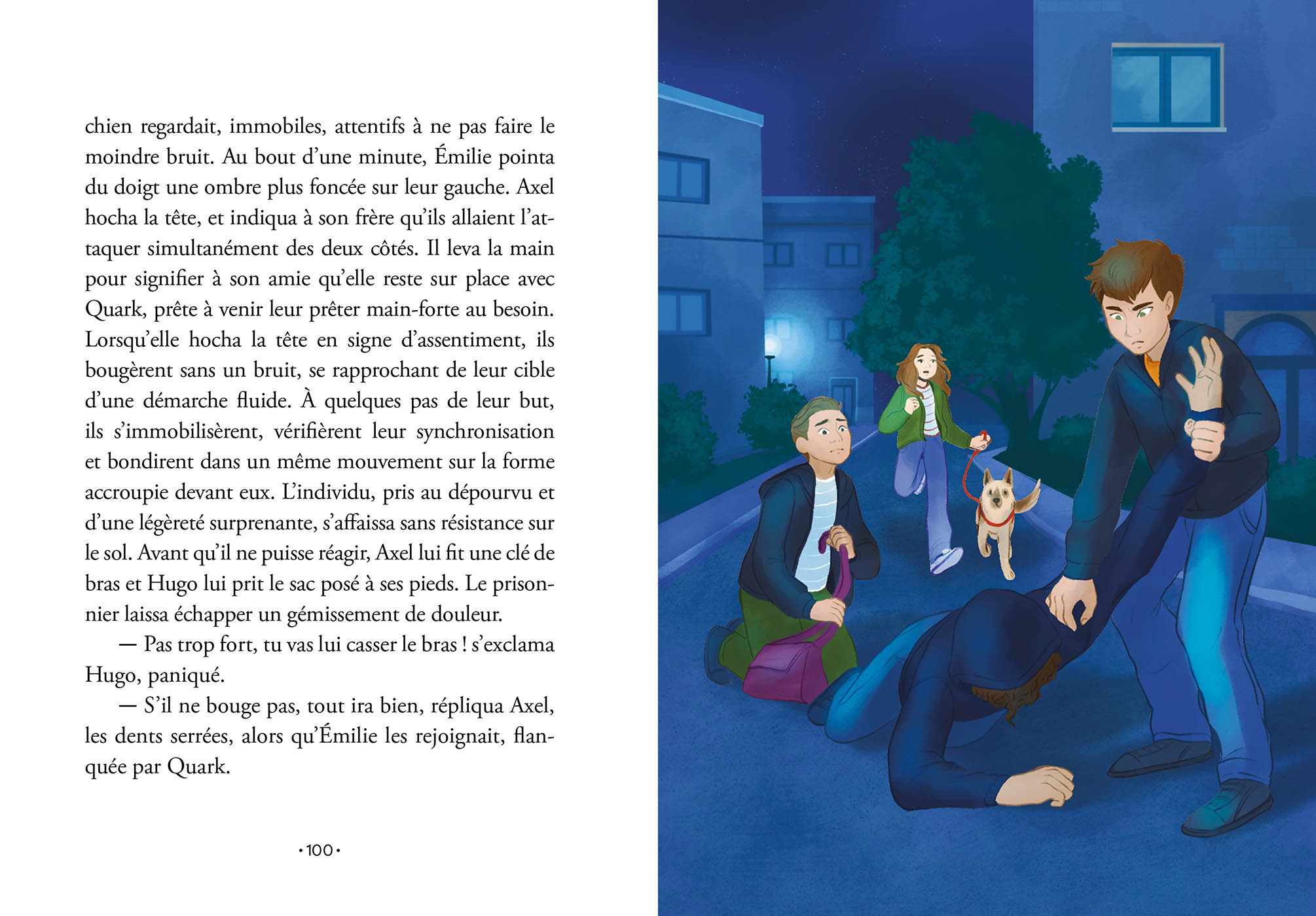 Frissons Suisses Pyromane