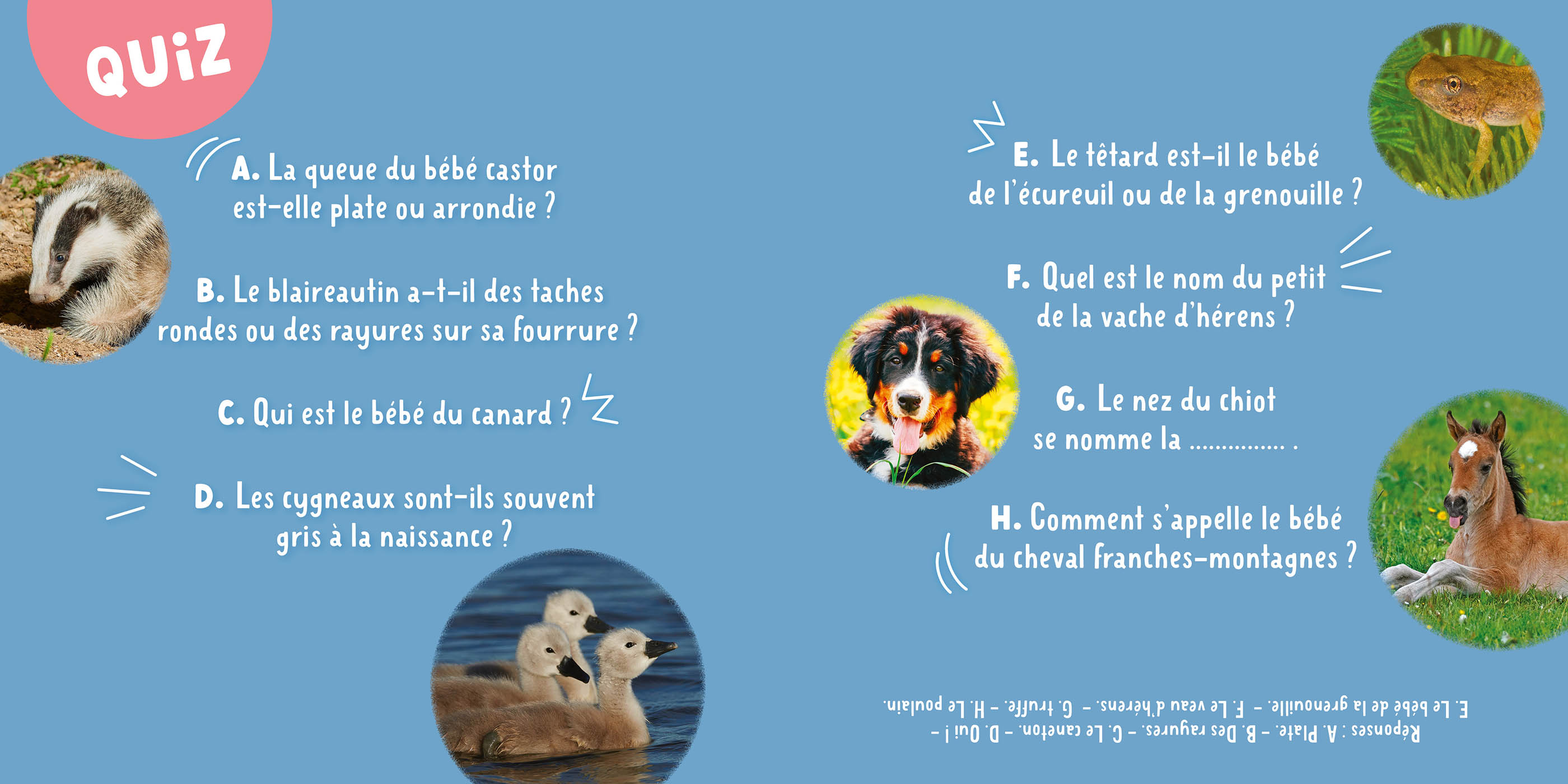 Mon Premier Doc Photo - Mon Premier Doc Photo - Les Bébés Animaux De Suisse