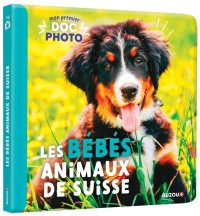 Mon premier doc photo - Mon premier doc photo - Les bébés animaux de suisse