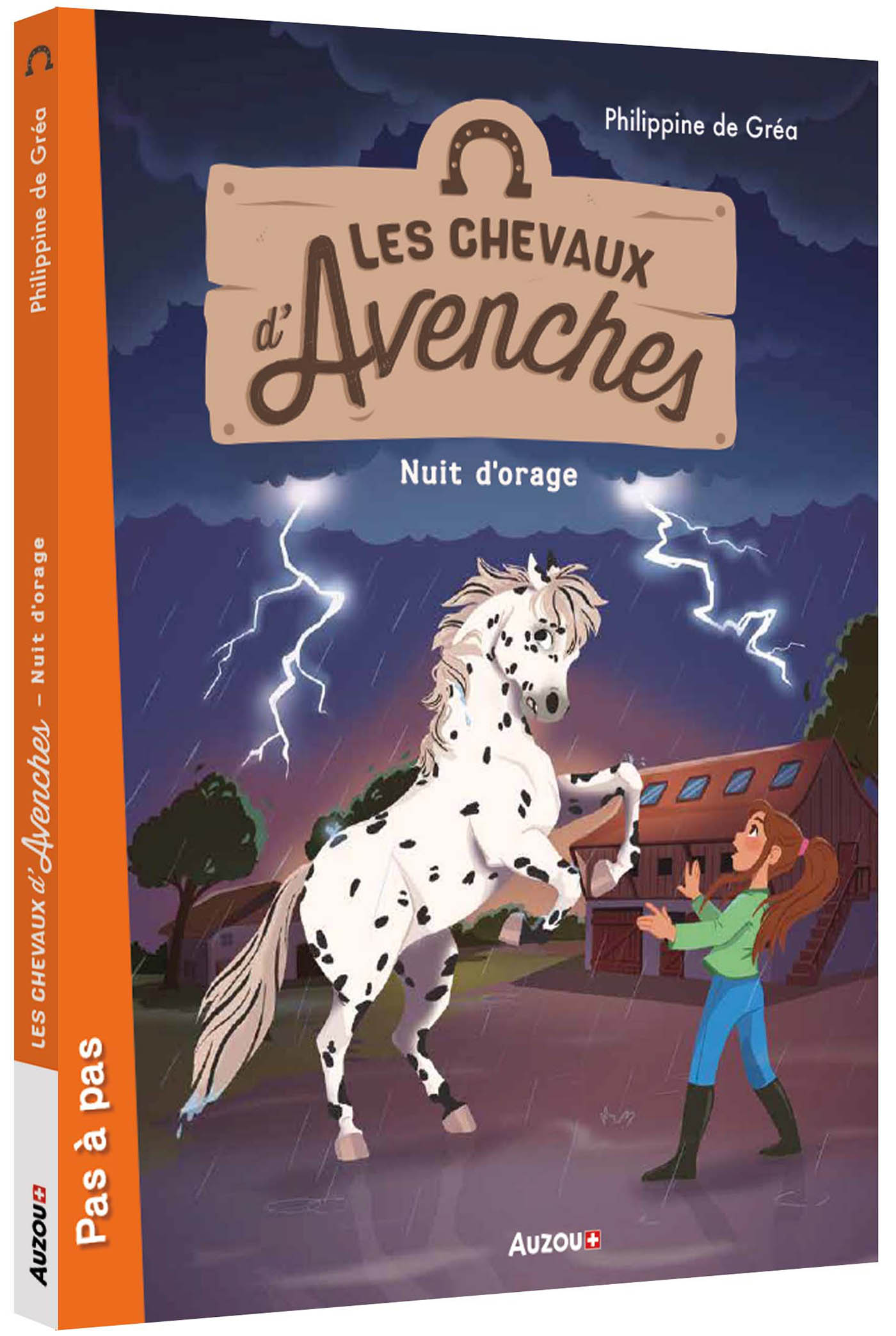 Les Chevaux D'avenches - Nuit D'orage Les Chevaux D'avenches - Nuit D'orage