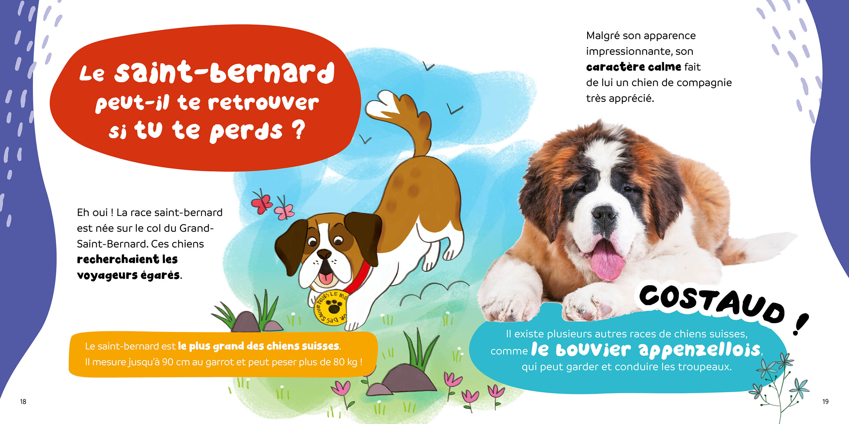 C'est Pas Vrai ? 15 Infos Rigolotes Sur Les Animaux Suisses