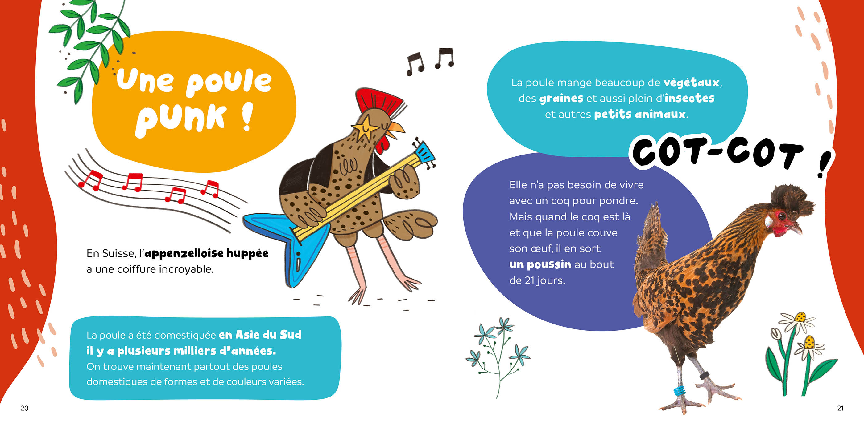 C'est Pas Vrai ? 15 Infos Rigolotes Sur Les Animaux Suisses