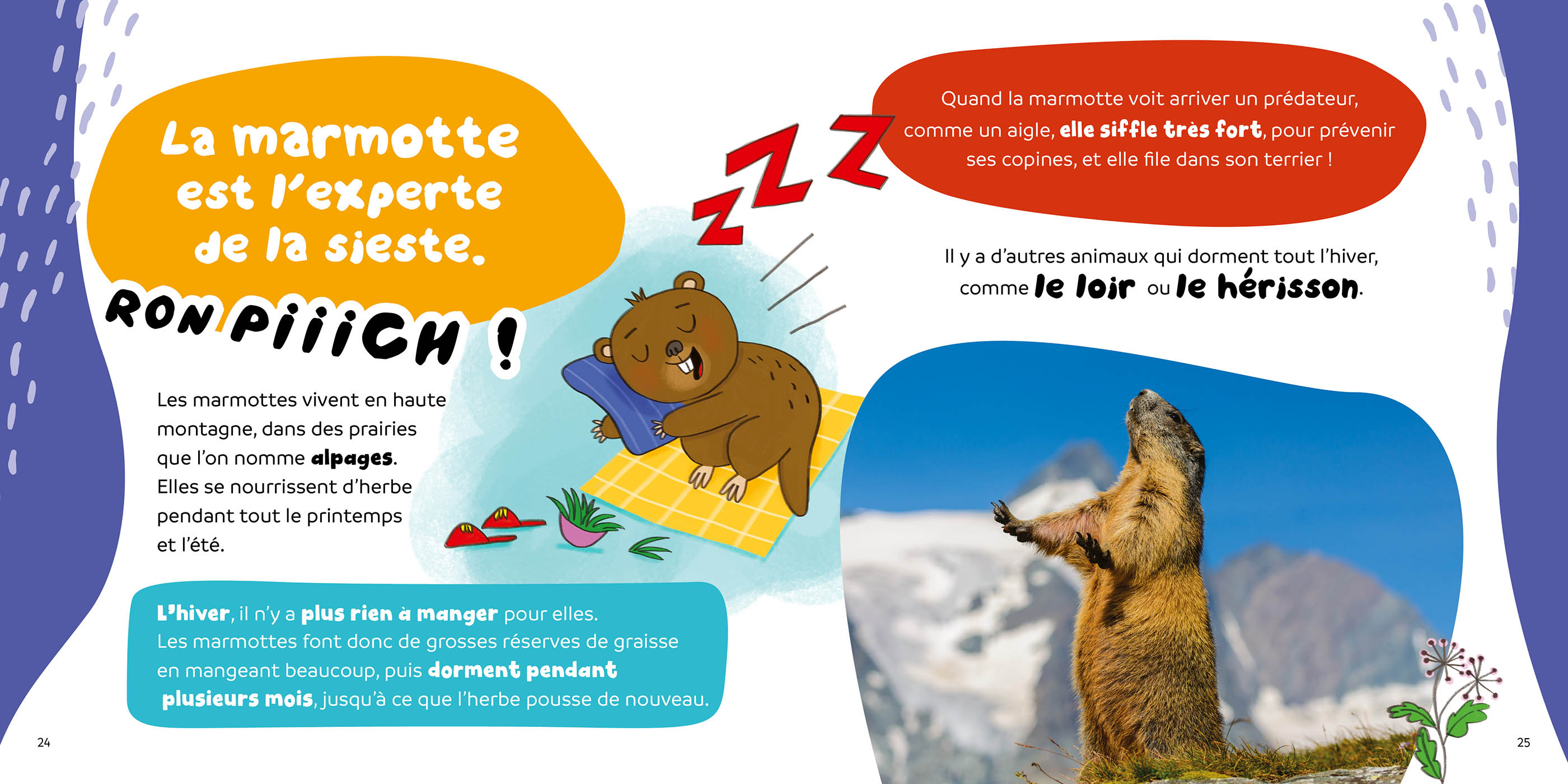 C'est Pas Vrai ? 15 Infos Rigolotes Sur Les Animaux Suisses