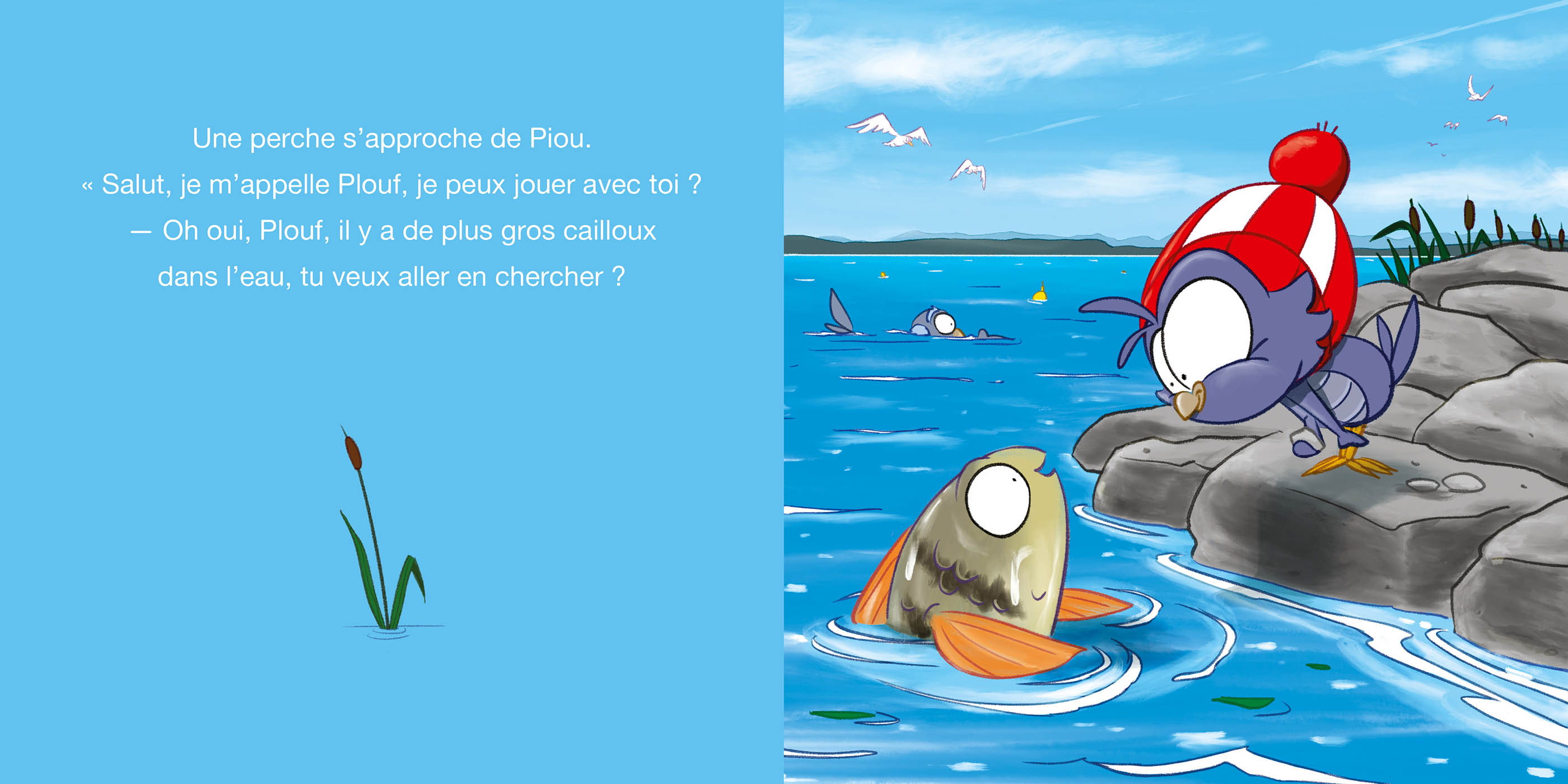 Piou Le Coucou À Neuchâtel