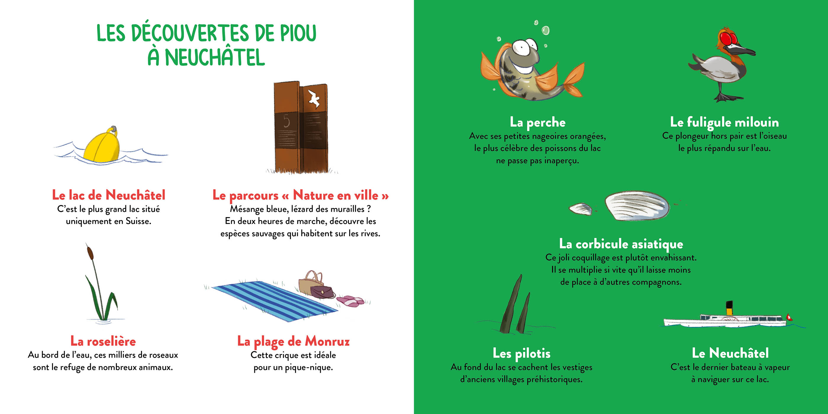 Piou Le Coucou À Neuchâtel