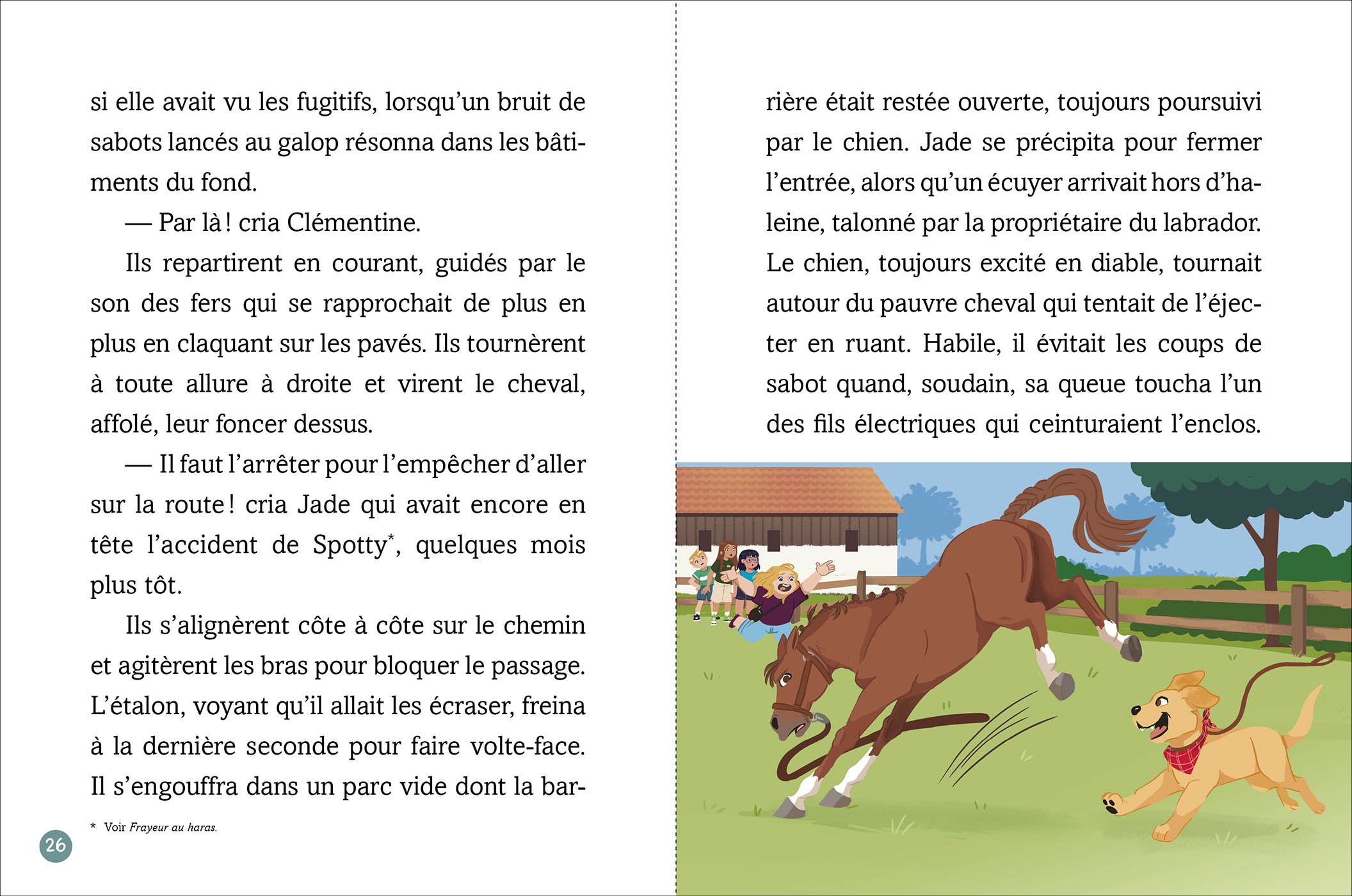 Les Chevaux D'avenches - Spectacle Au Haras