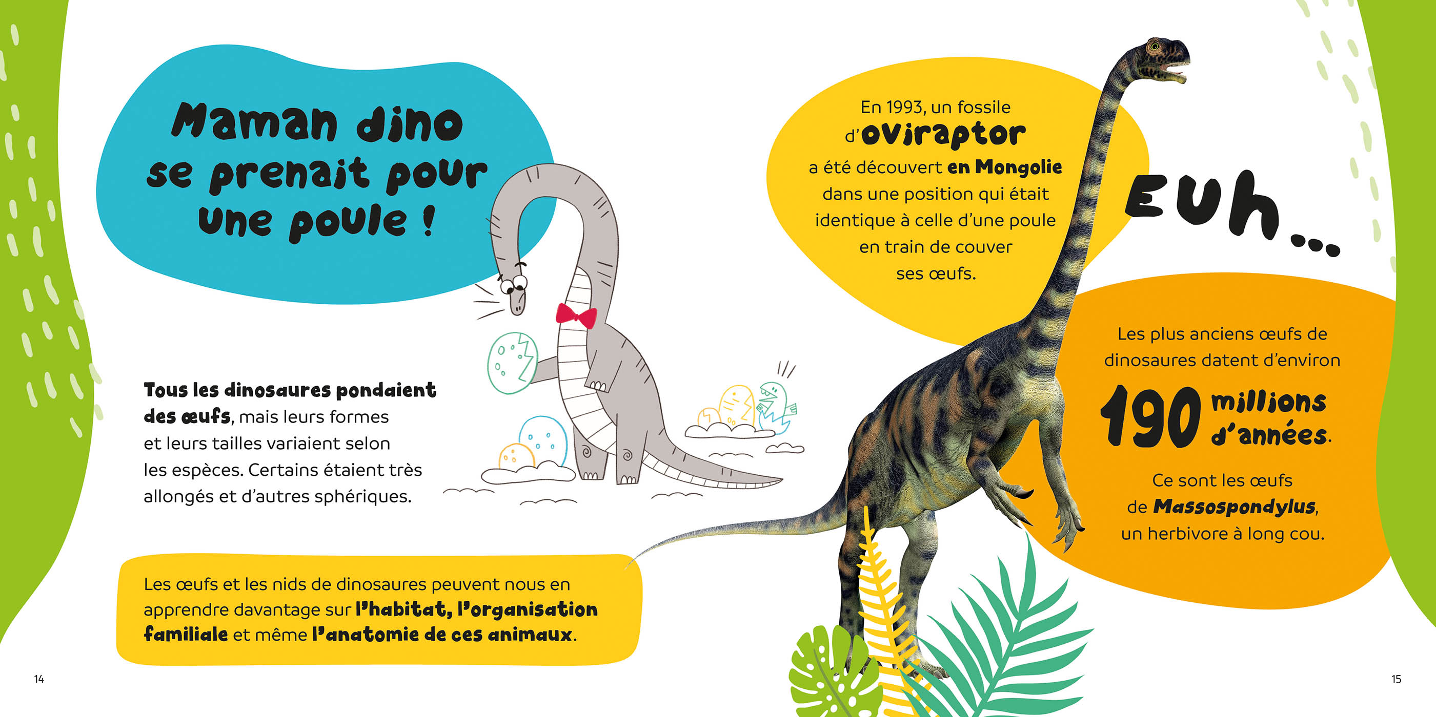 C'est Pas Vrai  ? - 15 Infos Rigolotes Sur Les Dinosaures