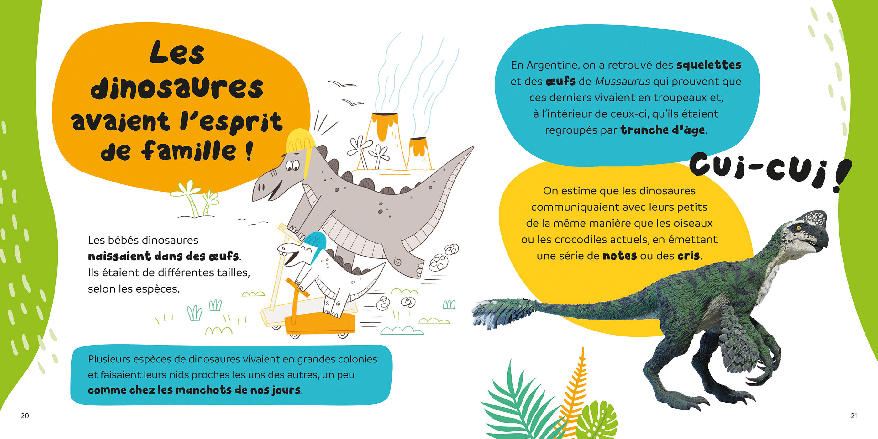 C'est Pas Vrai  ? - 15 Infos Rigolotes Sur Les Dinosaures
