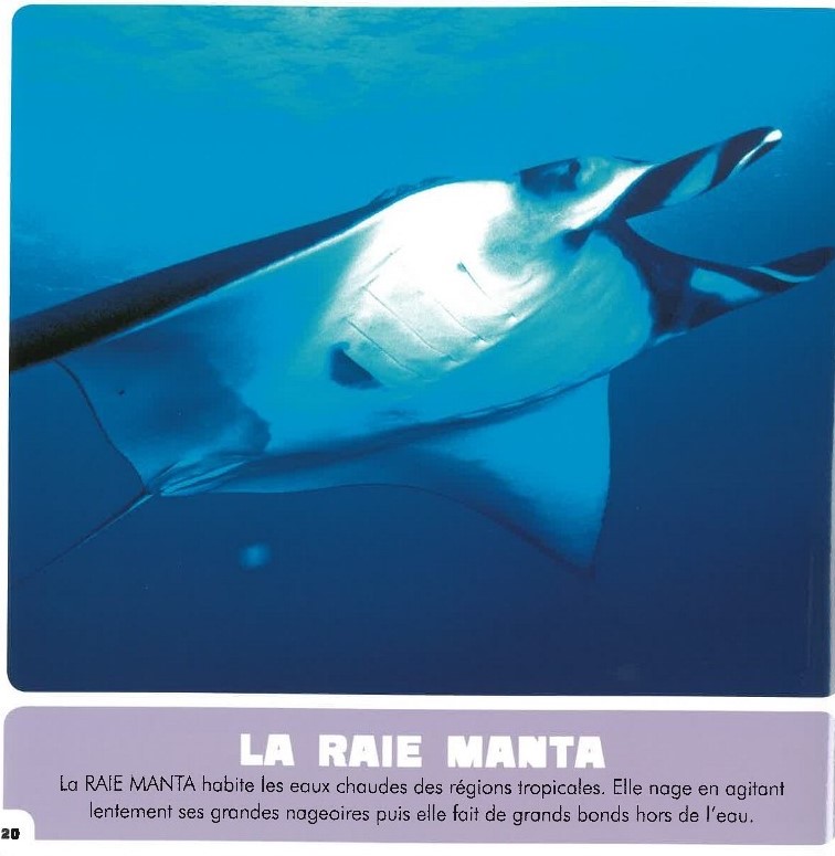 Mon Premier Doc Photo  - Les Animaux Geants (Coll. Mon Premier Animalier)