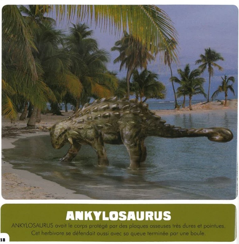 Mon Premier Doc Photo  - Les Dinosaures (Coll. Mon Premier Animalier)