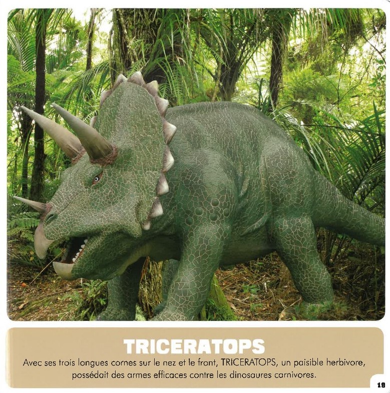 Mon Premier Doc Photo  - Les Dinosaures (Coll. Mon Premier Animalier)