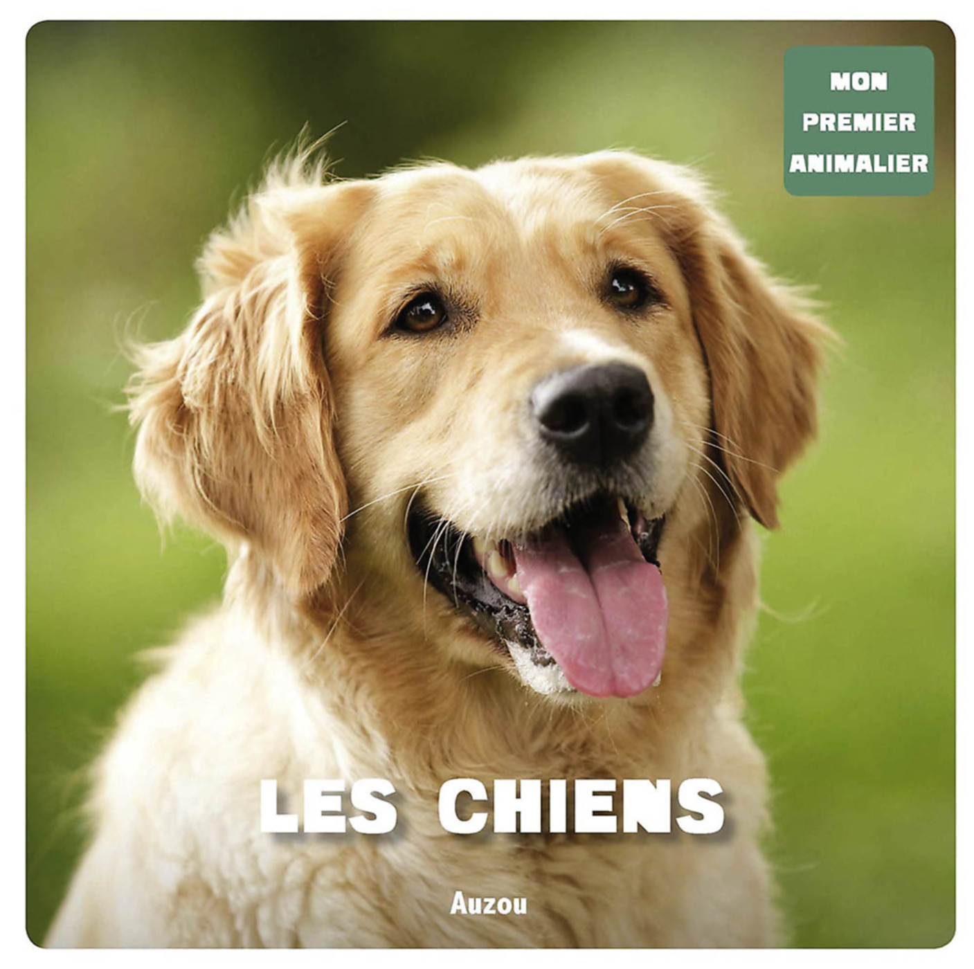 Mon Premier Doc Photo - Les Chiens