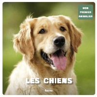 Mon premier doc photo - Les chiens