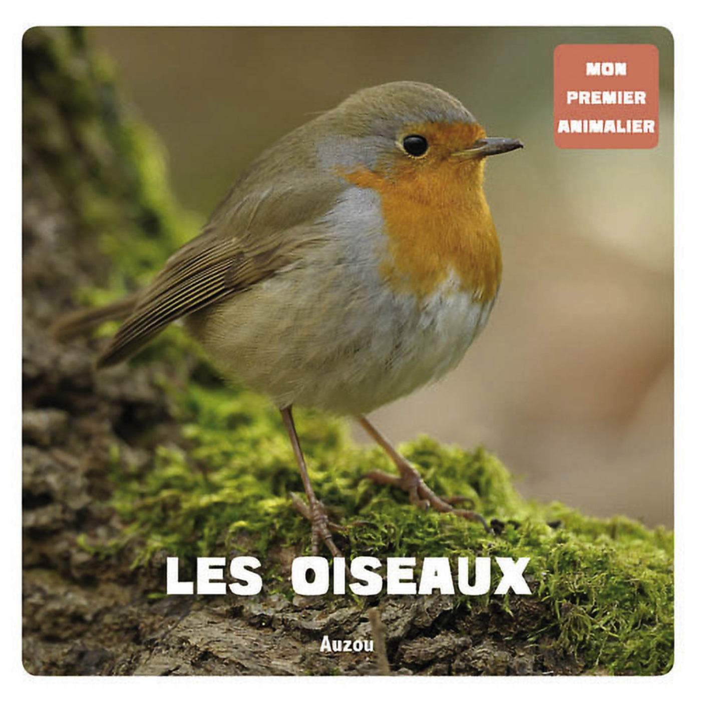 Mon Premier Doc Photo  - Les Oiseaux