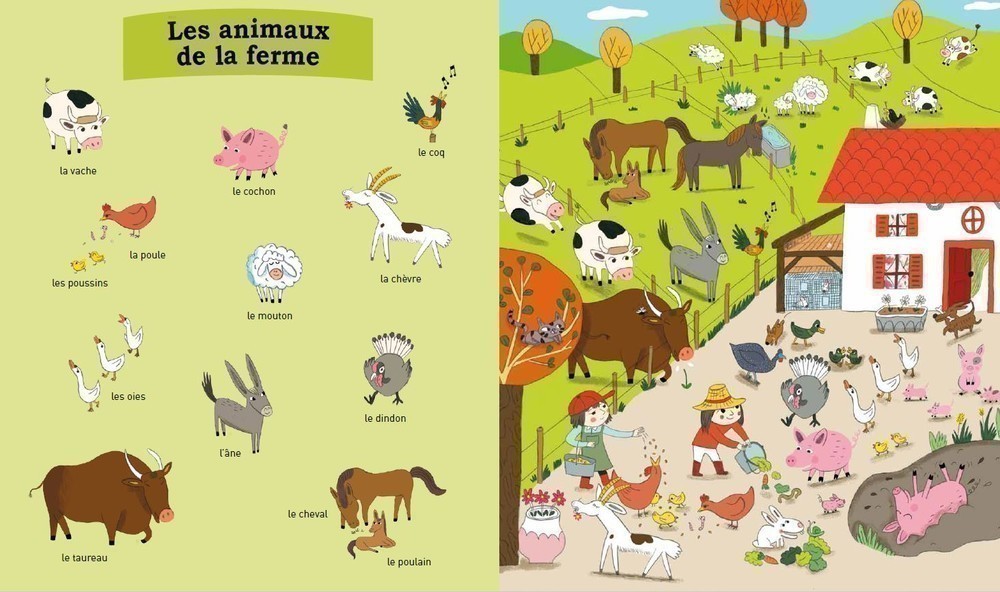 Mes Premiers Animaux A Decouvrir