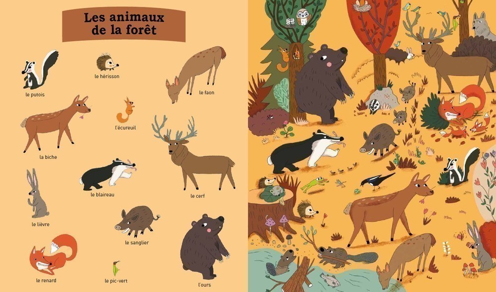 Mes Premiers Animaux A Decouvrir