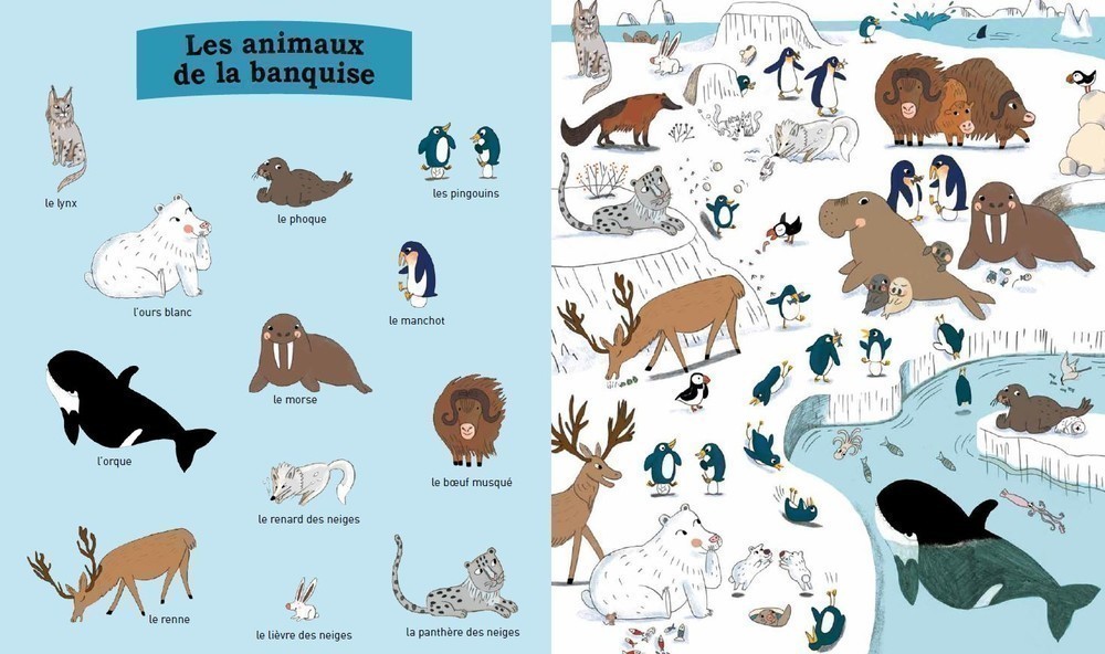 Mes Premiers Animaux A Decouvrir