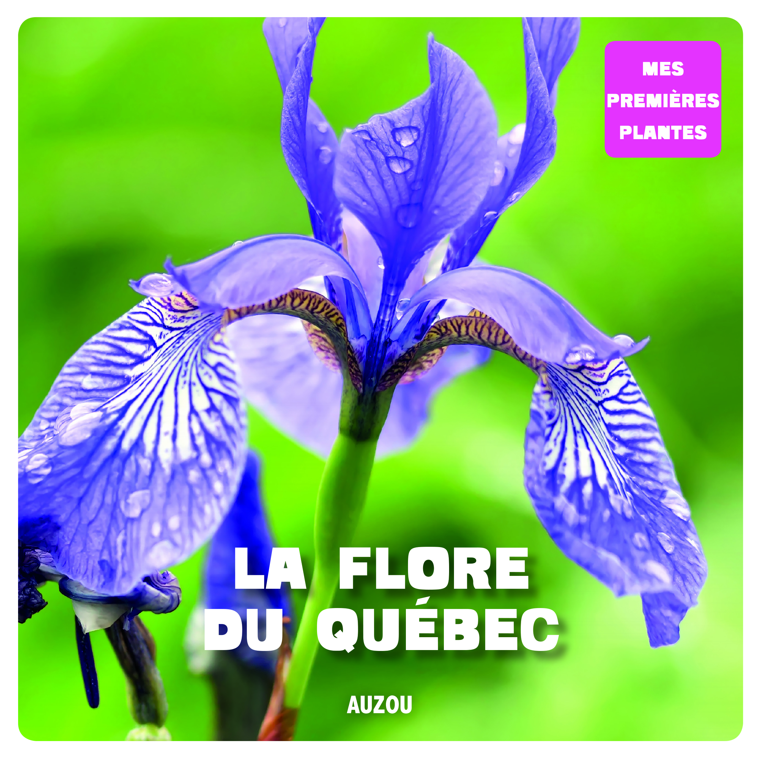 Mon Premier Doc Photo - Flore Du Québec (La)