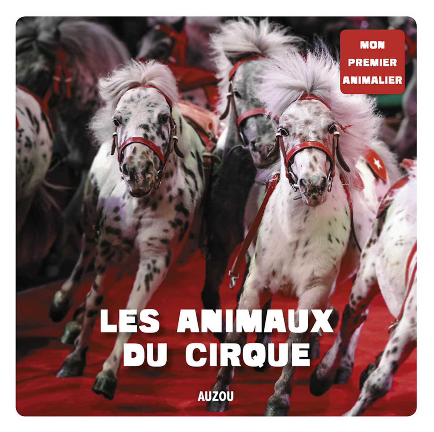 Mon Premier Doc Photo  - Les Animaux Du Cirque