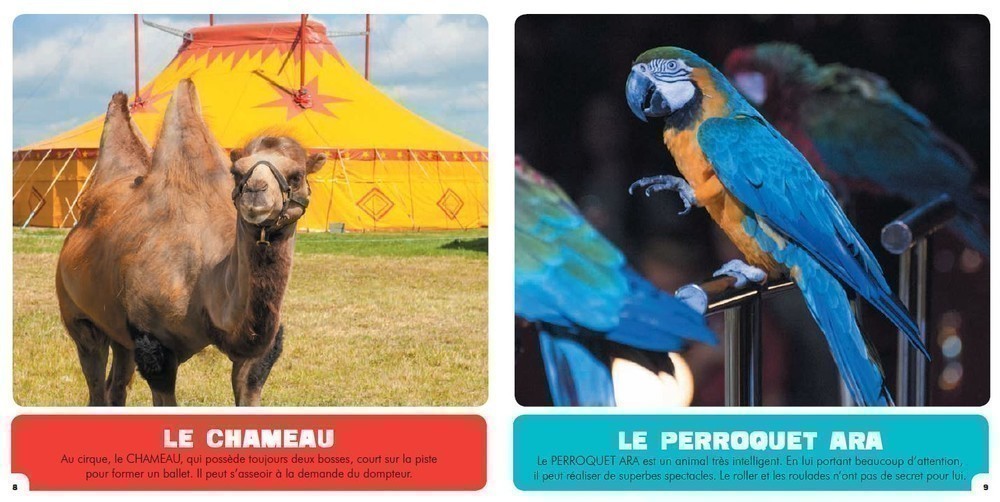 Mon Premier Doc Photo  - Les Animaux Du Cirque