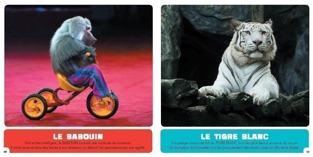 Mon Premier Doc Photo  - Les Animaux Du Cirque