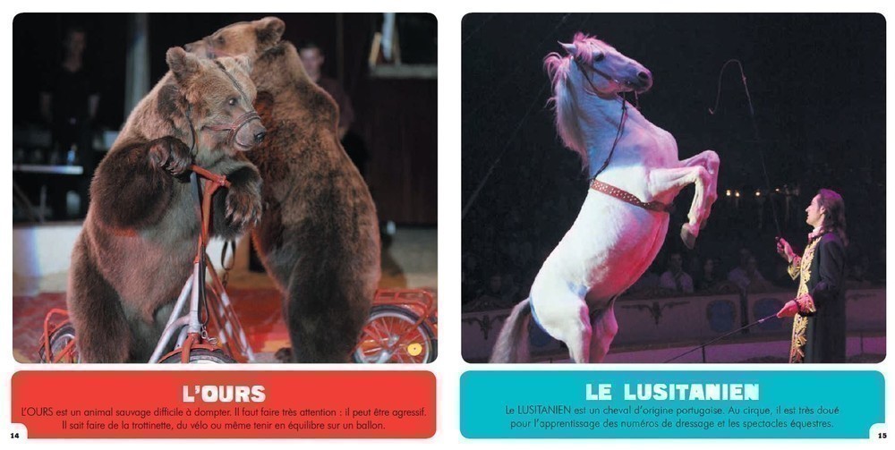 Mon Premier Doc Photo  - Les Animaux Du Cirque