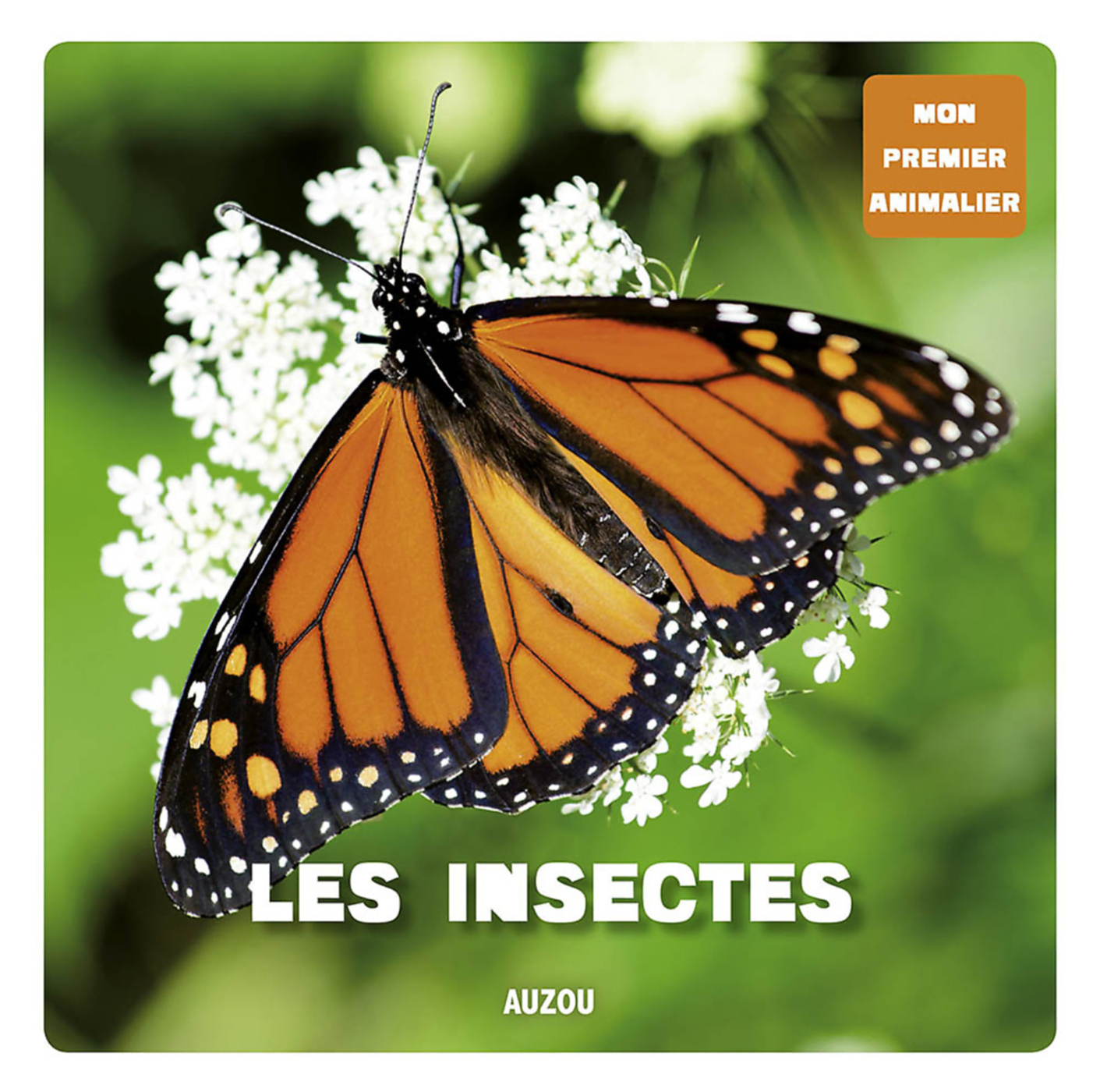 Mon Premier Doc Photo - Les Insectes