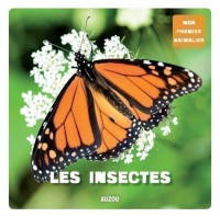 Mon premier doc photo - Les insectes