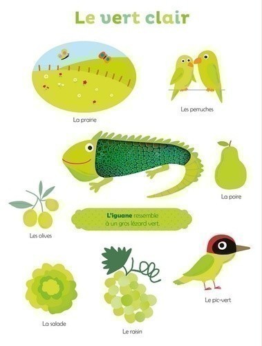 Mes Premières Couleurs À Toucher