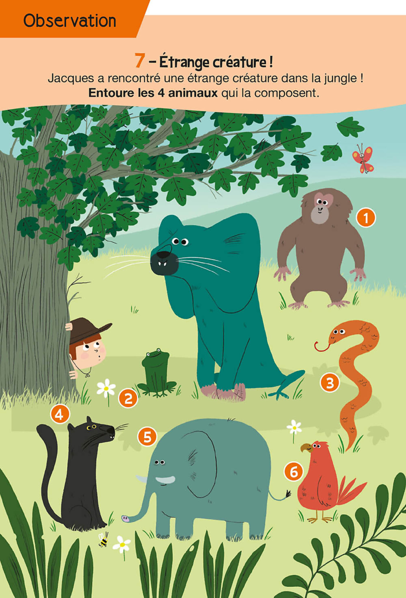 45 Jeux - Chez Les Animaux !