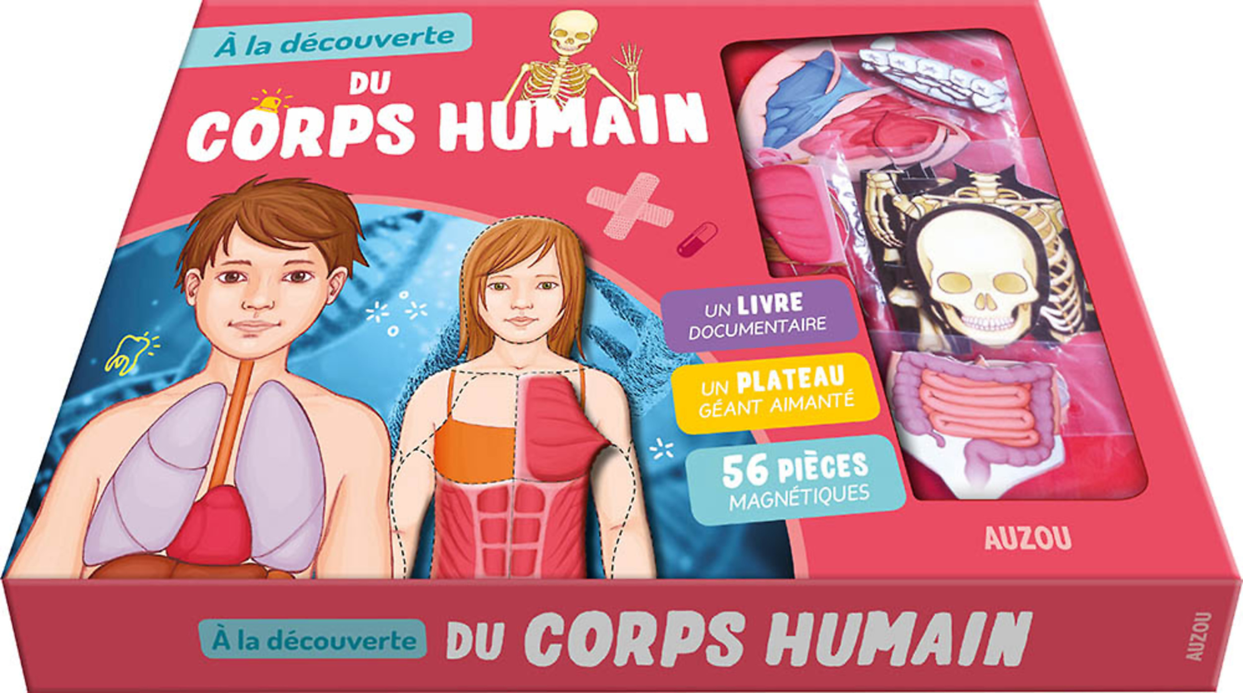 À La Découverte Du Corps Humain