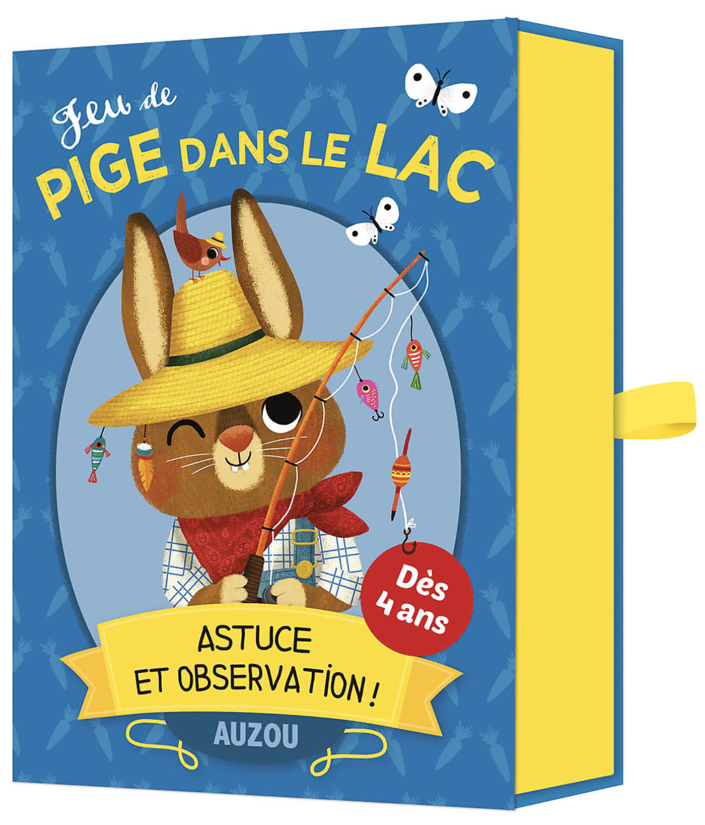 Jeu De Cartes - Jeu De Pige Dans Le Lac