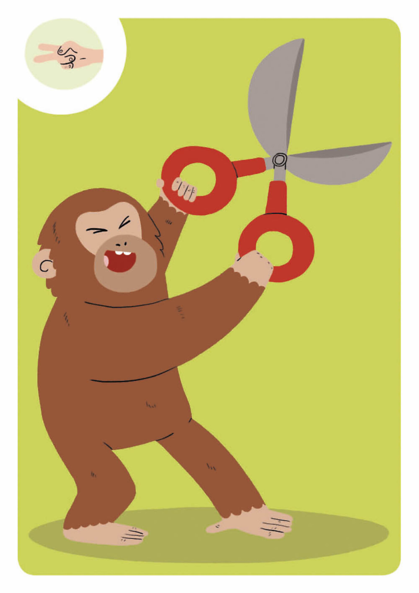 Jeu De Cartes - Jeu De Tok Tok Monkey - Logique Et Rapidité !
