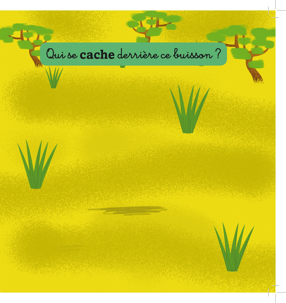 Mon Anim'agier - La Jungle Et La Savane