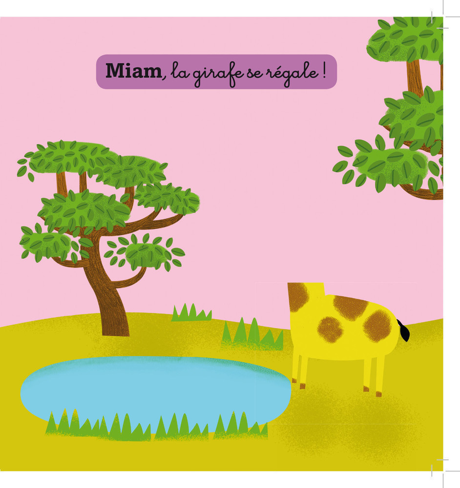 Mon Anim'agier - La Jungle Et La Savane