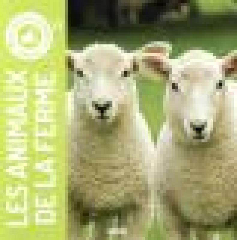 Mes Premiers Sonores - Les Animaux De La Ferme
