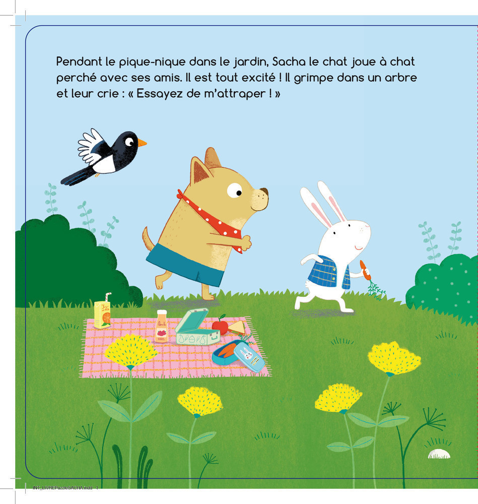 Sacha Joue A Chat Perche