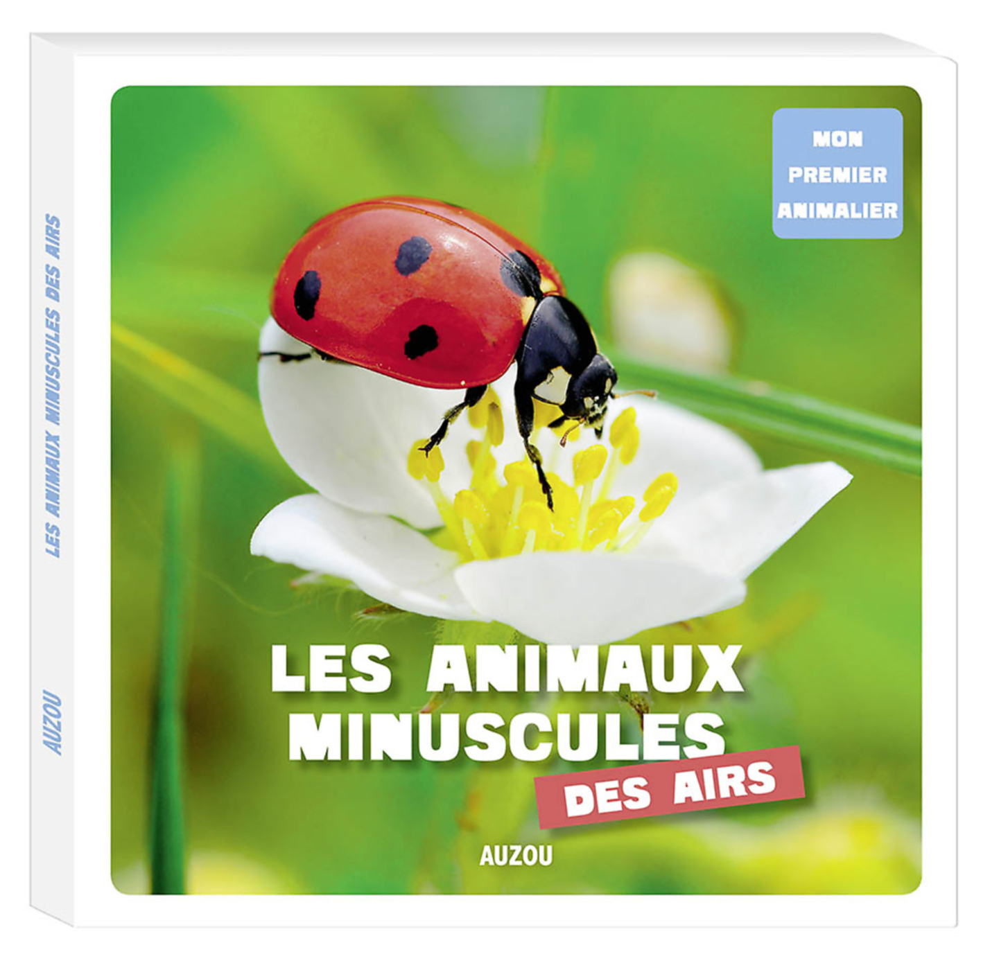 Mon Premier Doc Photo - Les Animaux Minuscules Des Airs