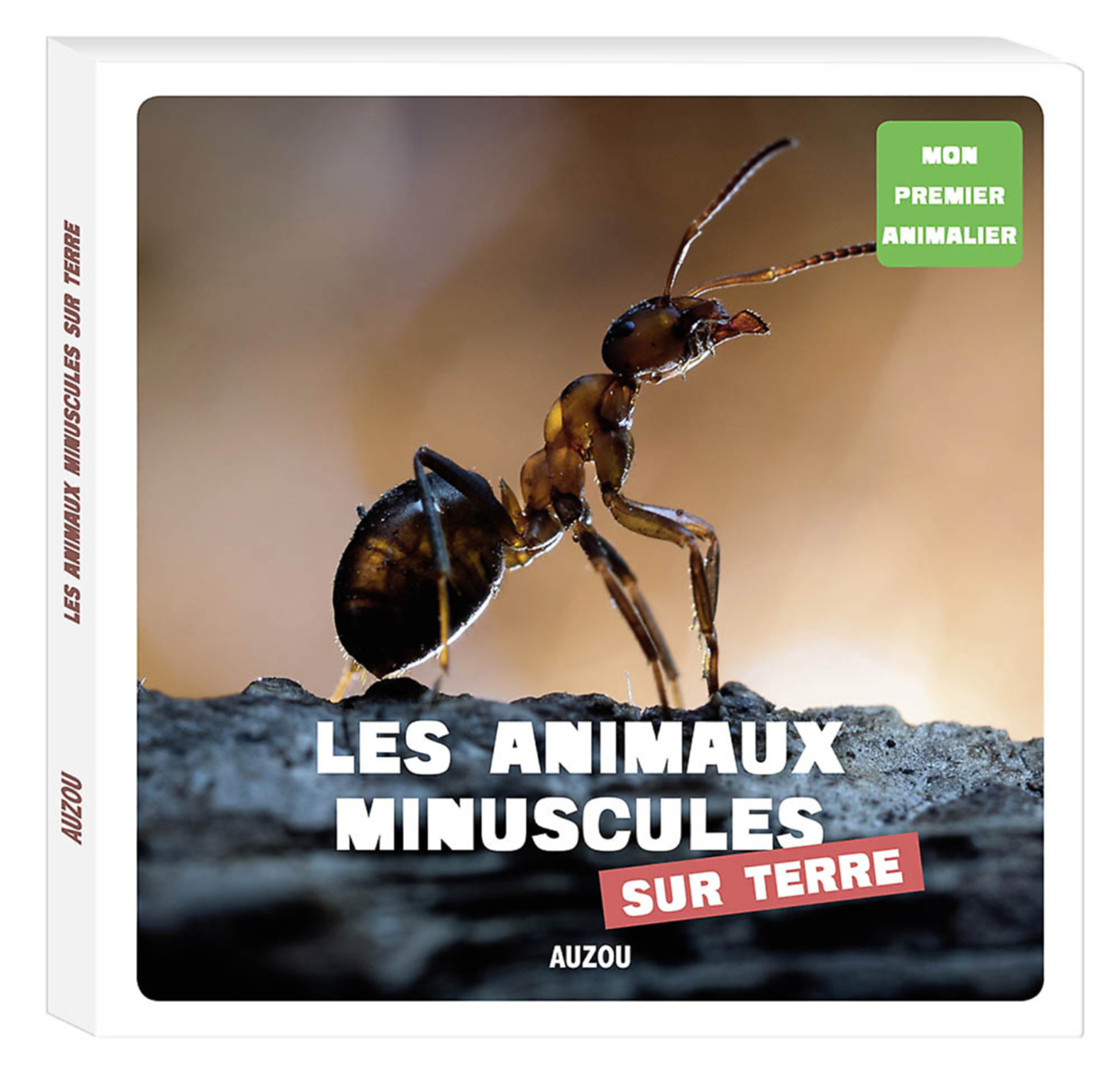 Mon Premier Doc Photo - Les Animaux Minuscules De La Terre