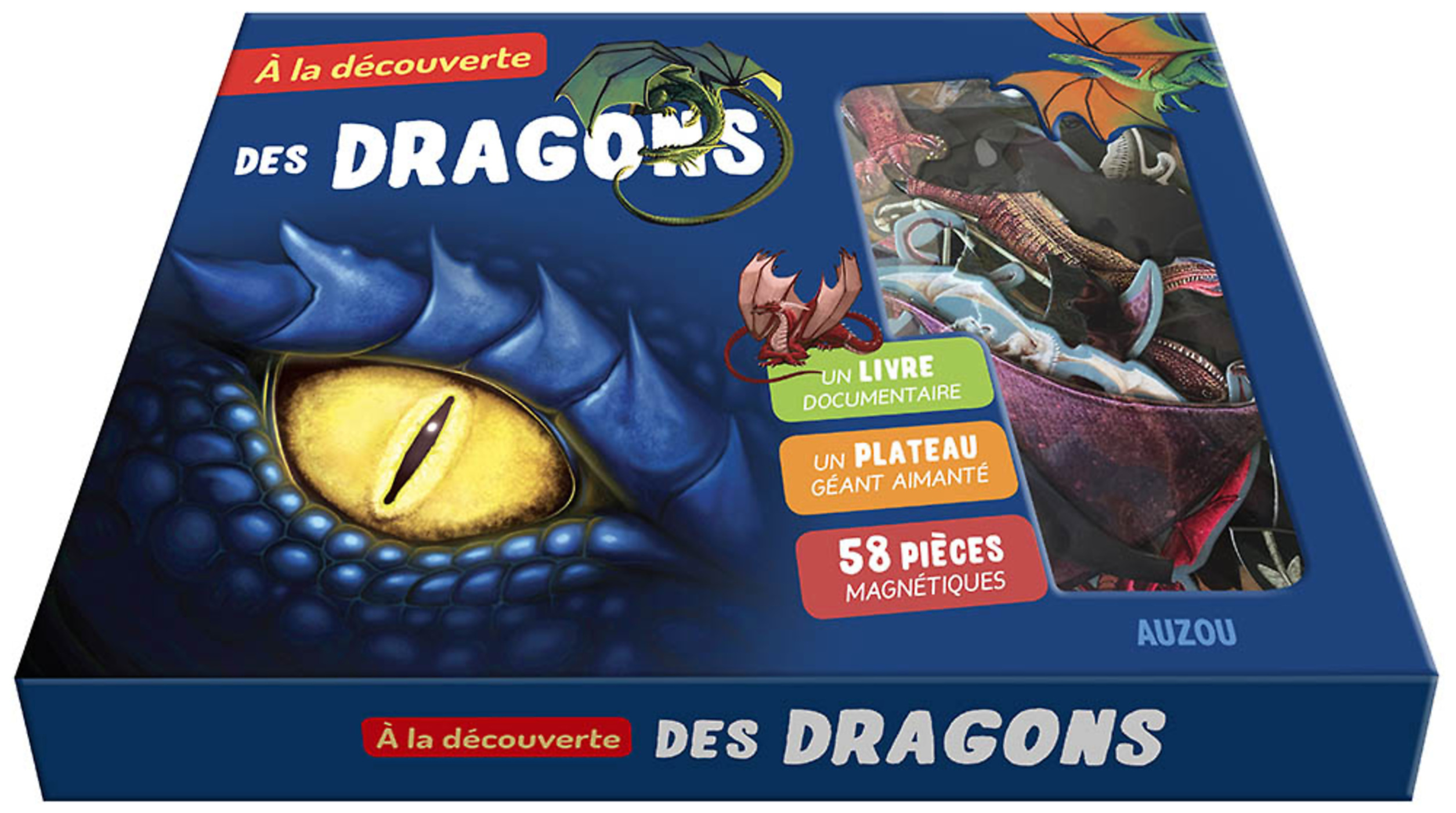 À La Découverte Des Dragons