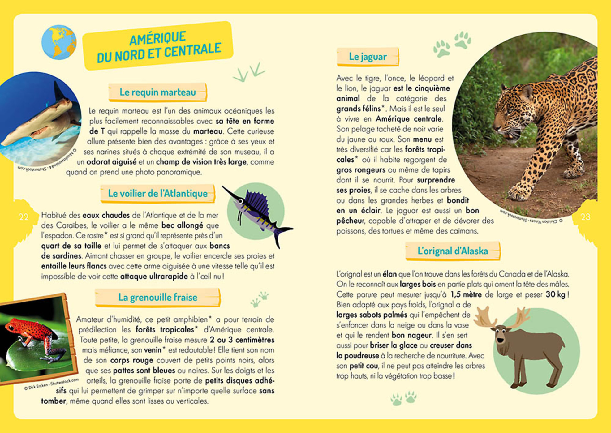 À La Découverte Des Animaux Du Monde