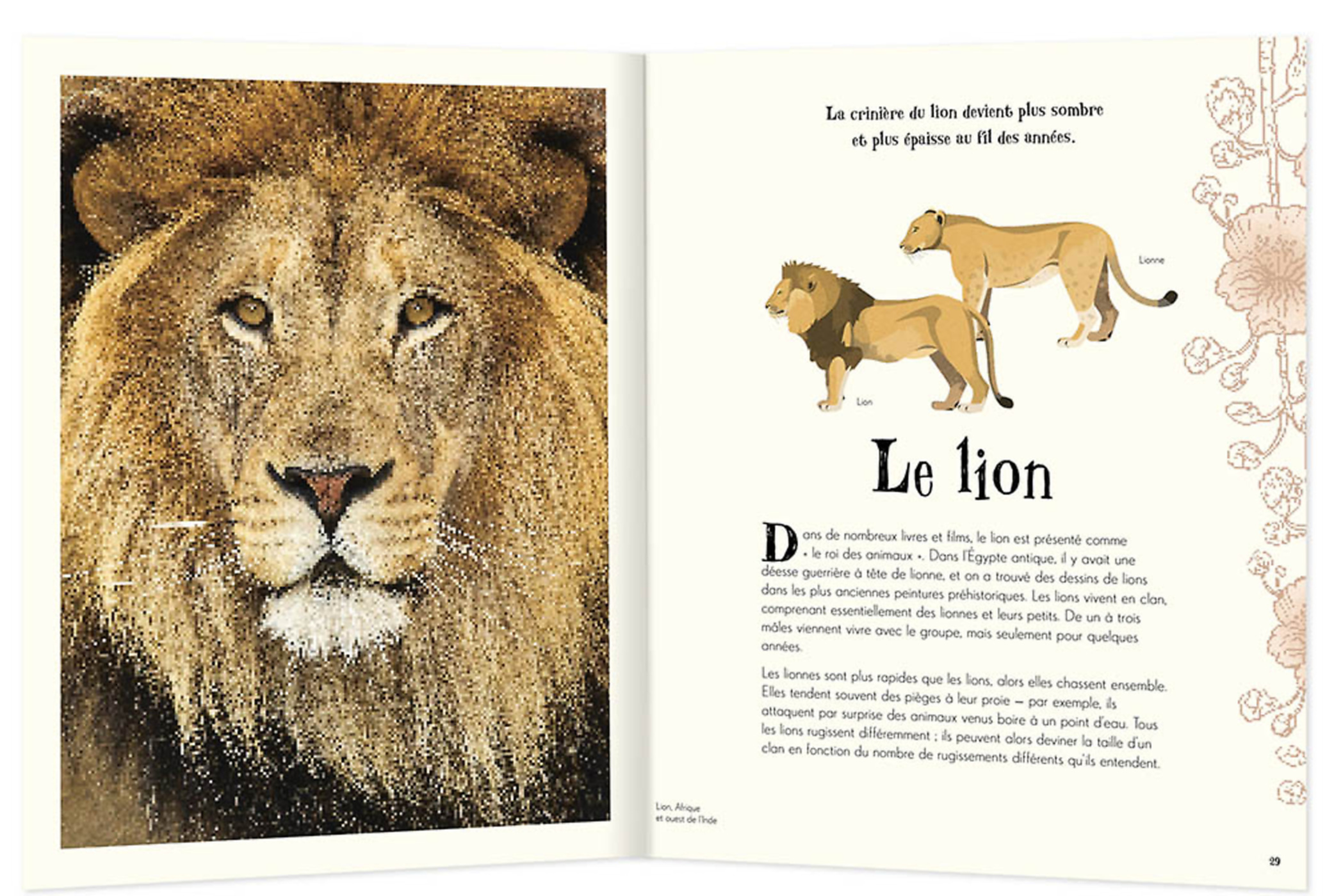 L'anthologie Illustrée Des Animaux Fascinants
