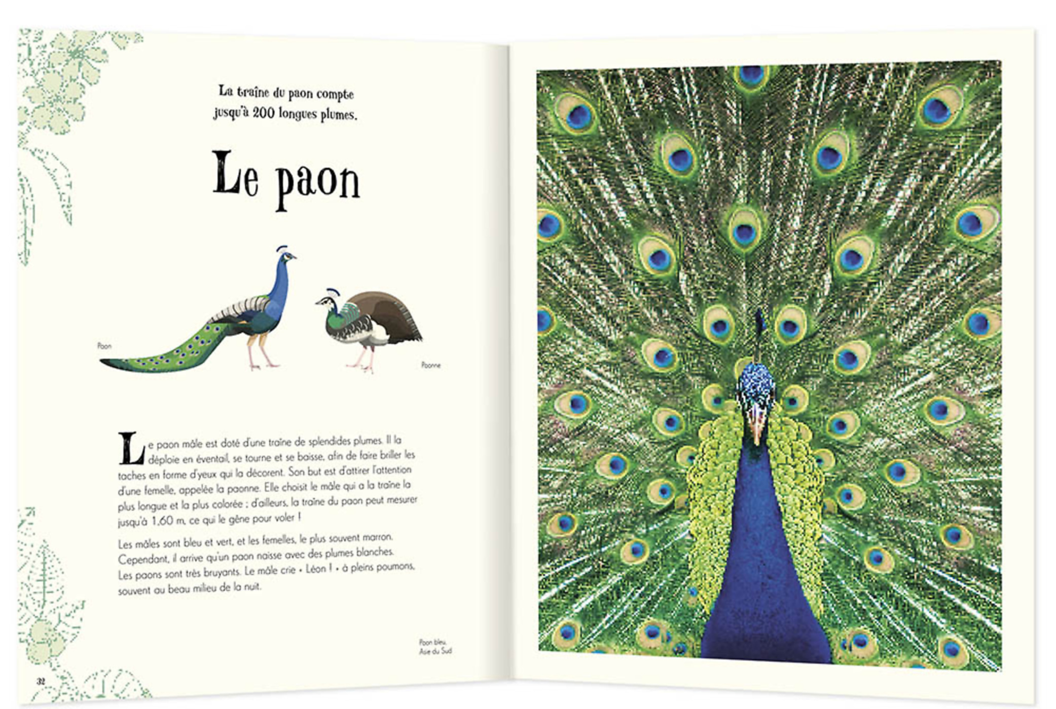 L'anthologie Illustrée Des Animaux Fascinants