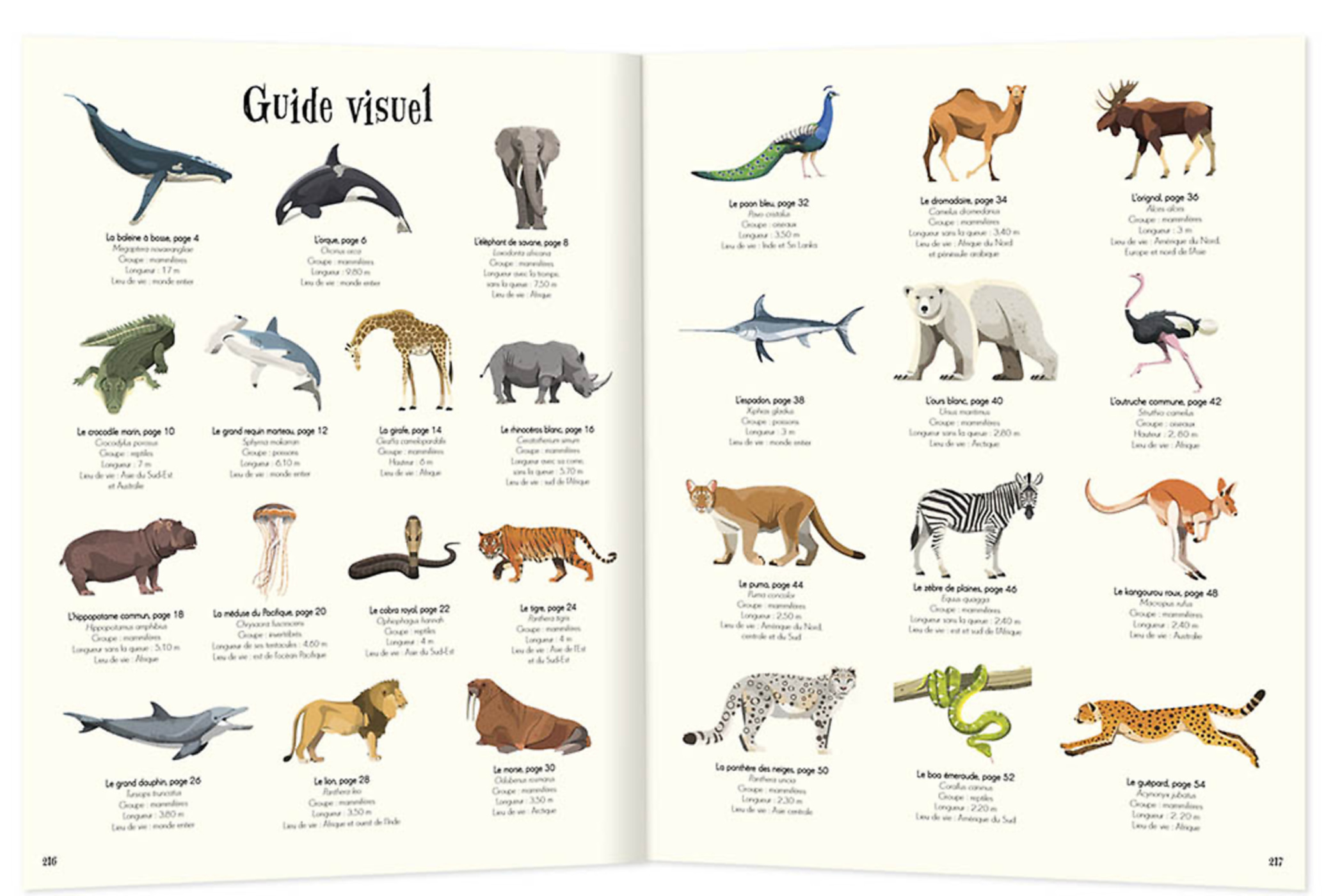L'anthologie Illustrée Des Animaux Fascinants