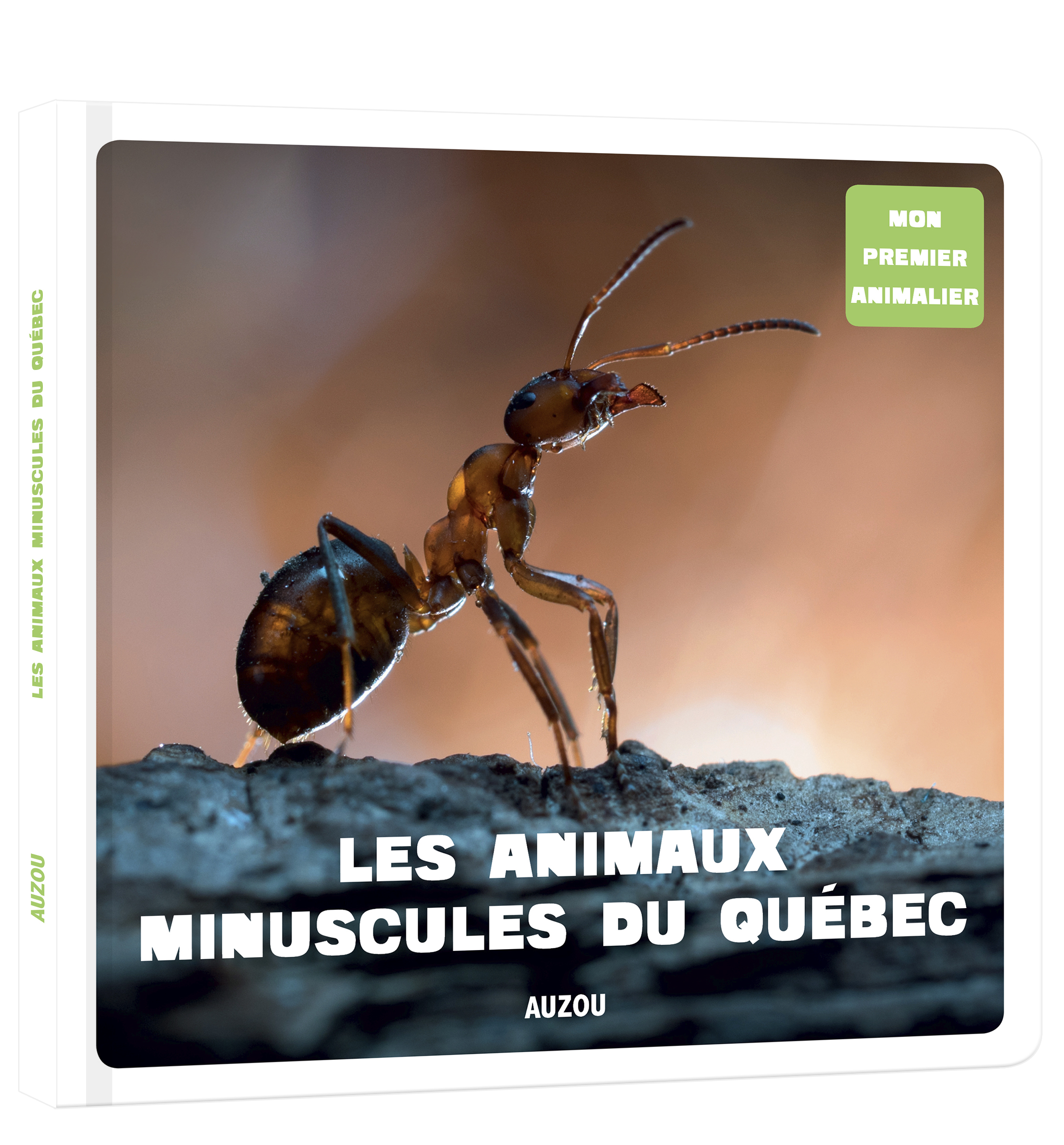 Mon Premier Doc Photo - Animaux Minuscules Du Québec (Les)