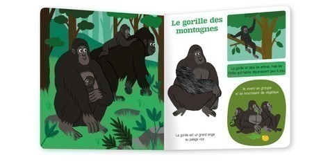 Les Animaux A Proteger